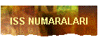 ISS NUMARALARI