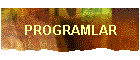 PROGRAMLAR