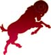 koc_bur.jpg (7735 bytes)